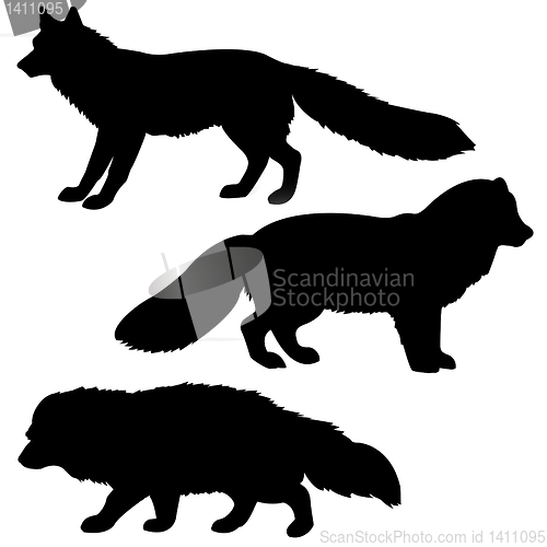 Image of vector drawing