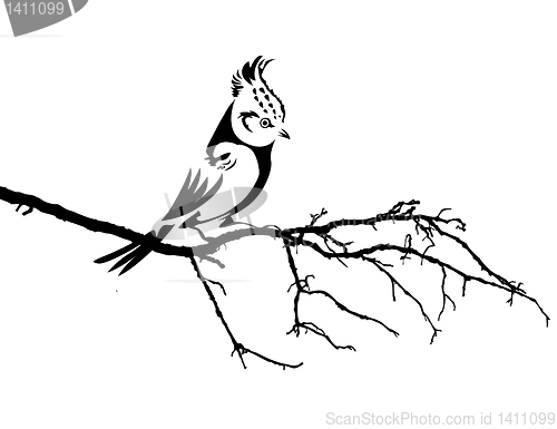 Image of vector silhouette of the bird on branch