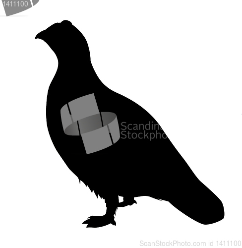 Image of vector drawing