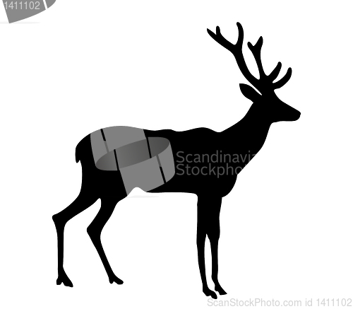 Image of vector silhouette deer on white background 