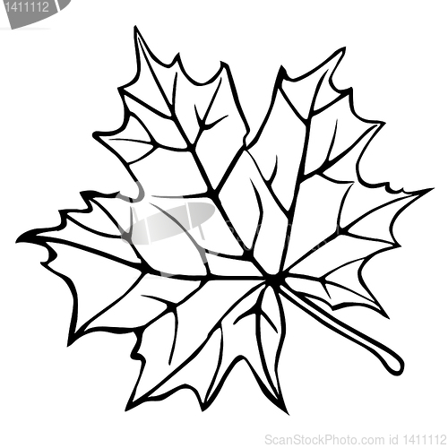 Image of vector drawing