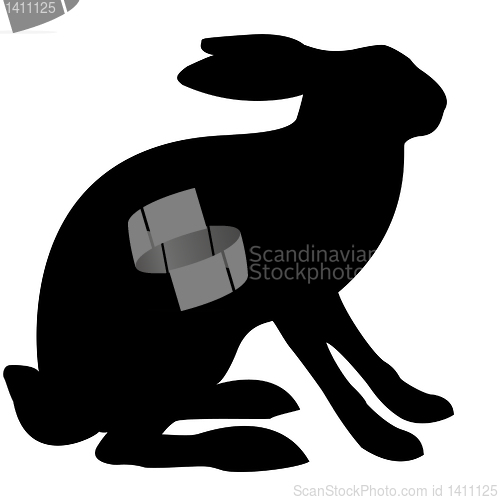 Image of vector drawing