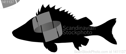 Image of vector drawing