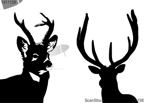 Image of vector drawing