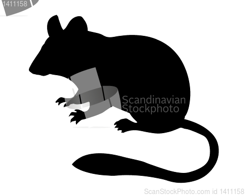Image of vector silhouette jerboa on white background