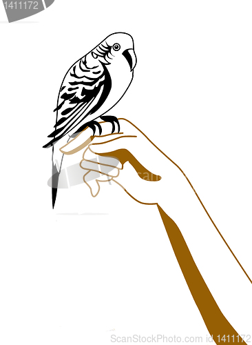 Image of vector silhouette of the parrot on hand