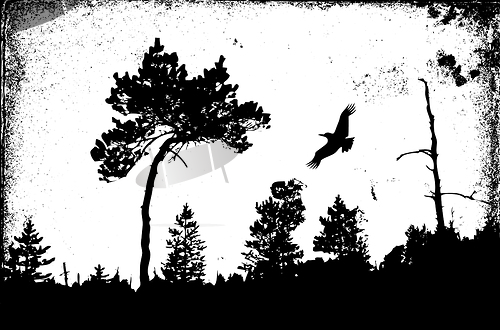 Image of vector drawing