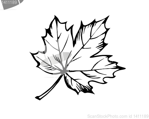 Image of vector drawing