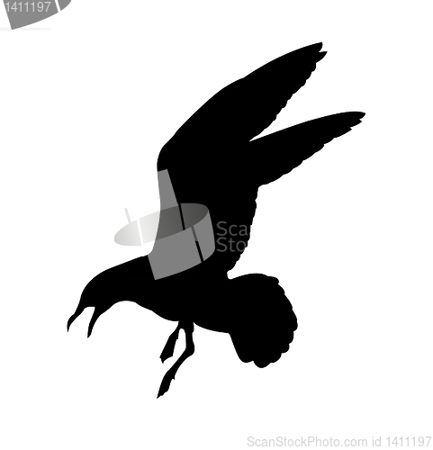 Image of vector drawing