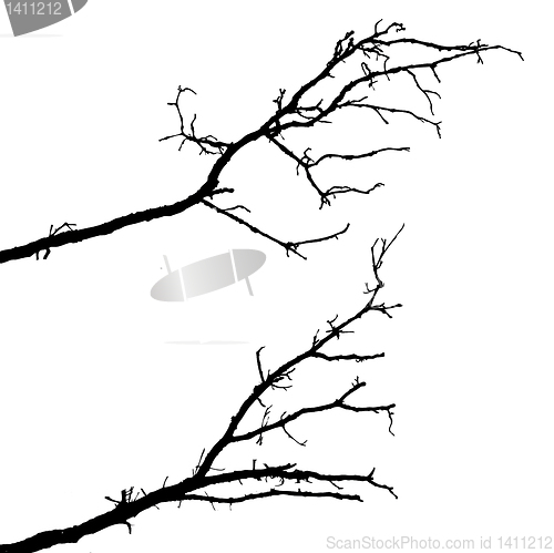 Image of vector drawing