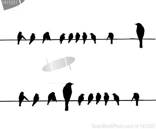 Image of vector silhouettes of the birds on wire