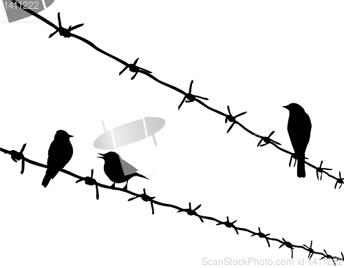 Image of vector silhouette three birds on barbed wire