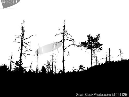 Image of vector drawing