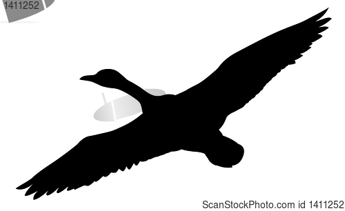 Image of vector silhouette flying ducks on white background