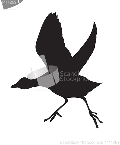 Image of vector silhouette of the bird on white background