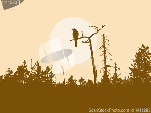 Image of vector drawing