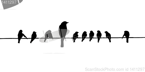 Image of vector silhouettes of the birds on wire