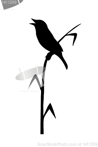 Image of vector drawing