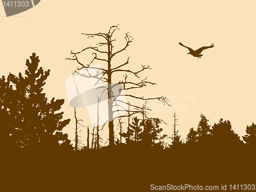 Image of vector drawing