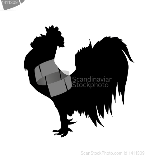 Image of vector drawing