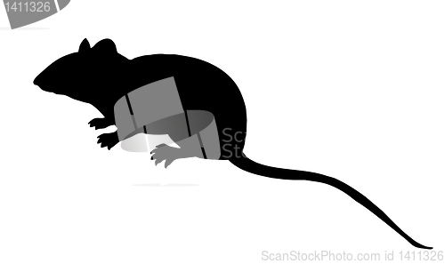 Image of vector silhouette mouse on white background