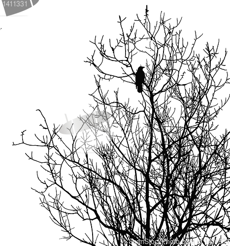 Image of vector drawing