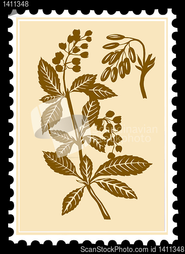 Image of vector drawing