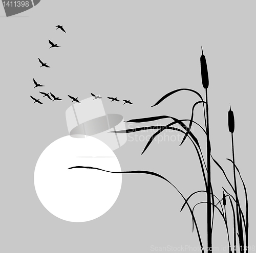 Image of vector drawing