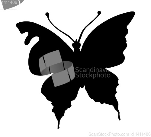 Image of vector silhouette butterfly on white background