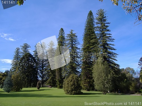 Image of adelaide botanic garden