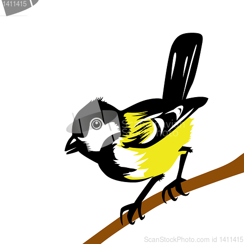 Image of vector drawing tomtit on white background