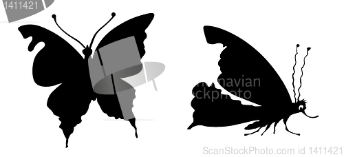 Image of vector silhouette butterfly on white background
