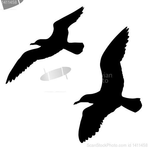 Image of vector drawing
