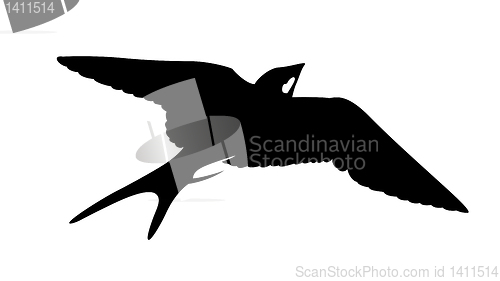 Image of vector silhouette of the swallow on white background