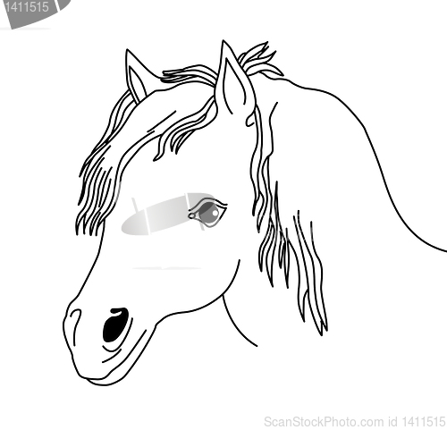 Image of vector silhouette of the head horse on white background