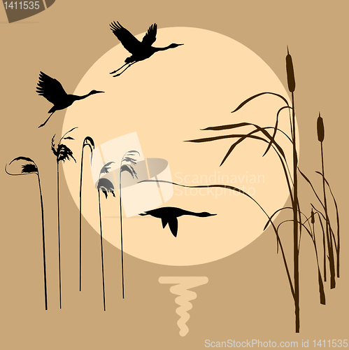 Image of vector drawing