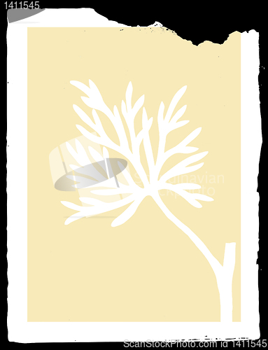 Image of vector drawing