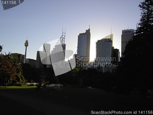 Image of sydney