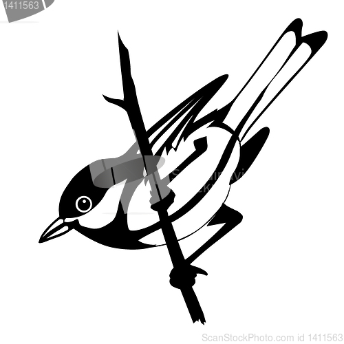 Image of vector silhouette of the bird on white background