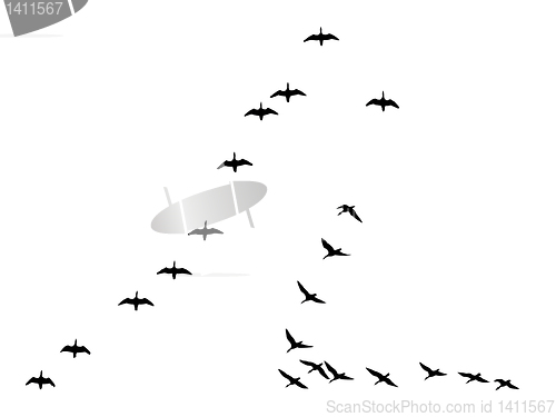 Image of vector drawing