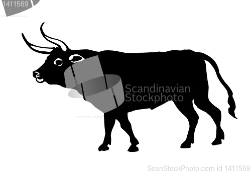 Image of vector illustration oxen on white background