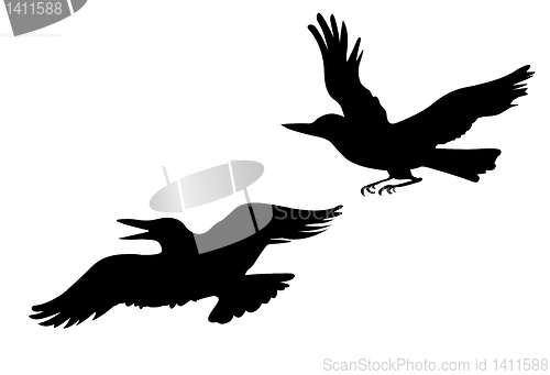 Image of vector drawing two ravens on white background
