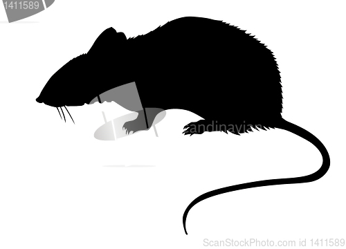 Image of vector drawing