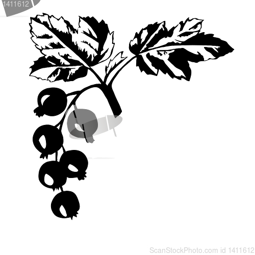 Image of vector silhouette of the black currant on white background