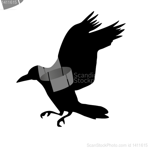 Image of vector drawing