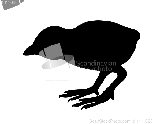 Image of vector drawing