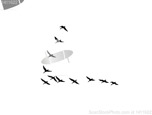 Image of vector drawing