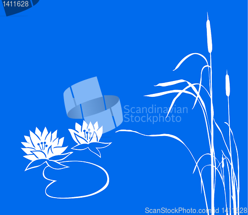 Image of vector drawing
