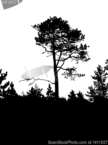 Image of vector drawing