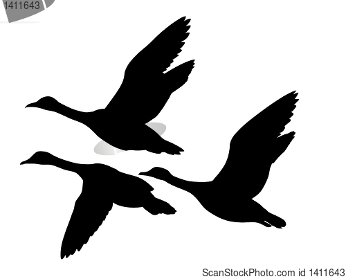 Image of vector silhouette flying ducks on white background